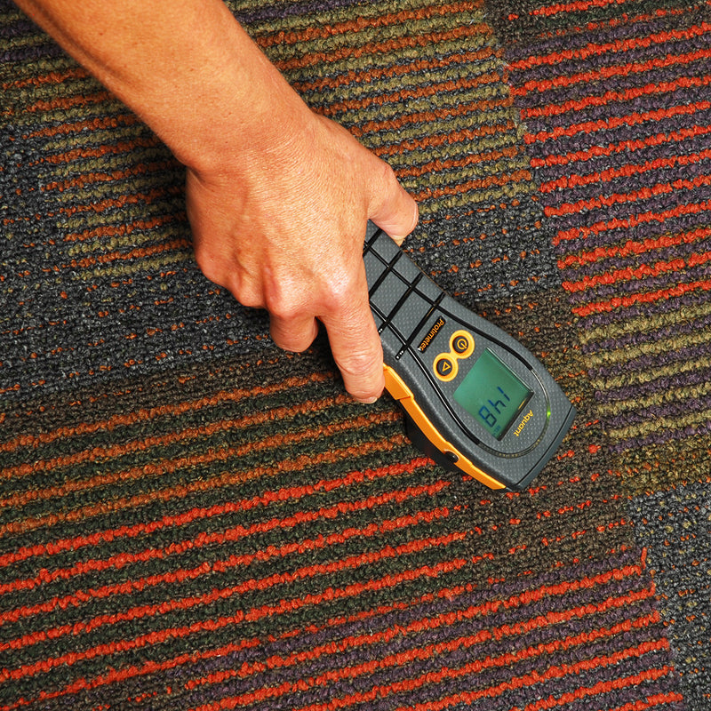 Protimeter Aquant Moisture Meter being used to measure moisture in carpet